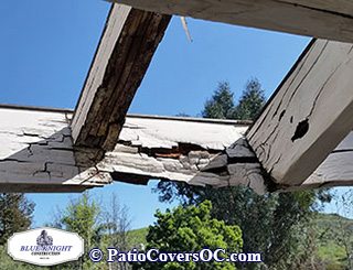 Dry Rot Repair Laguna Niguel