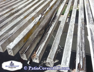 Dry Rot Repair Laguna Niguel with Blue Knight .