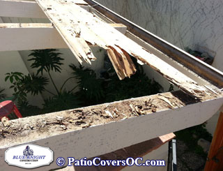 Dry Rot Repair Laguna Niguel with Blue Knight .