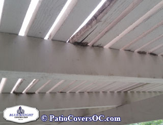 Dry Rot Repair Laguna Niguel with Blue Knight .