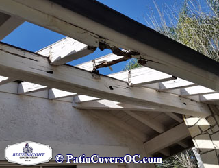 Dry Rot Repair Laguna Niguel with Blue Knight .