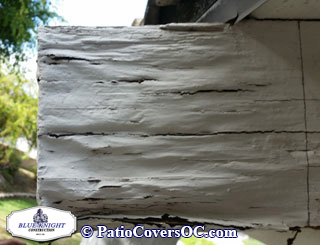 Dry Rot Repair Laguna Niguel with Blue Knight .