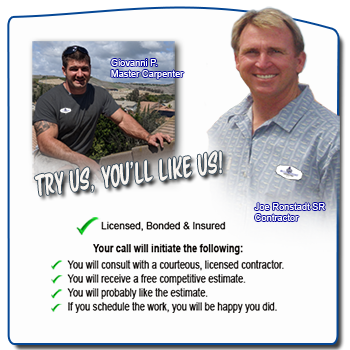 dryrotrepair, With Blue Knight