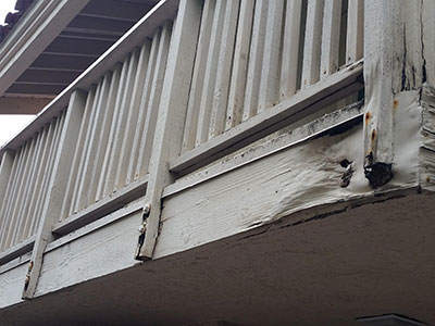 Termite Control Laguna Niguel